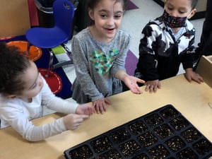 Preschool Planting 3